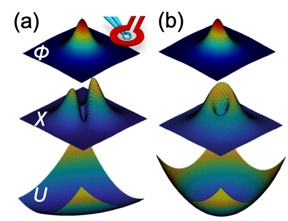 Reprinted figure from [1]. Copyright 2021, by American Physical Society.